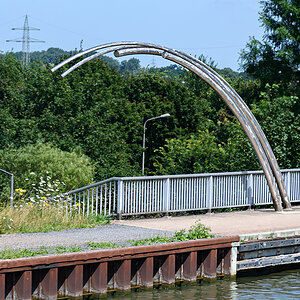 OF2_50549.jpg