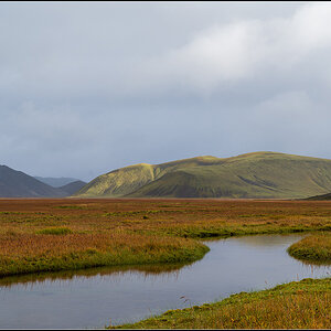 island (605).jpg