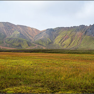 island (610).jpg