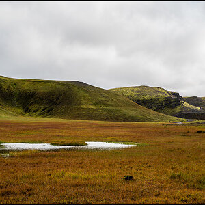 island (616).jpg