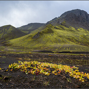 island (622).jpg