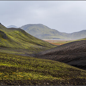 island (625).jpg