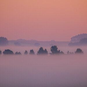Bodennebel 2005 (1 von 1).JPG