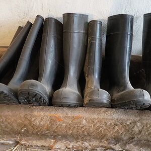 Gummistiefel.jpg