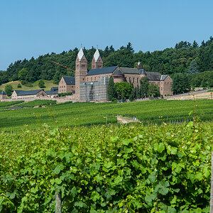 DSC_5165.jpg