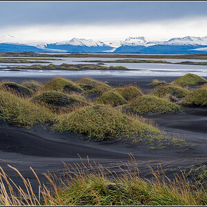 island (871).jpg
