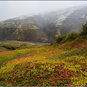 island (895).jpg