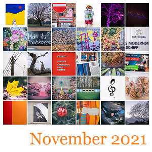 365-Tage-Projekt 2021 November-Mosaik