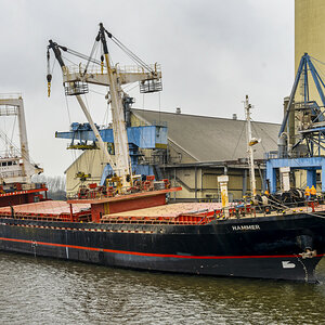 _Z7F7396-_304#.JPG