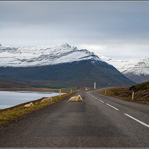 island (934).jpg