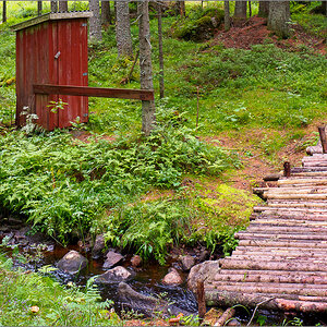 P8130157.jpg