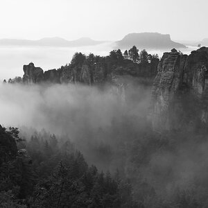 DSC_0576_00001_06n.jpg