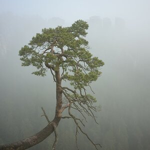 DSC_2809_00001n.jpg