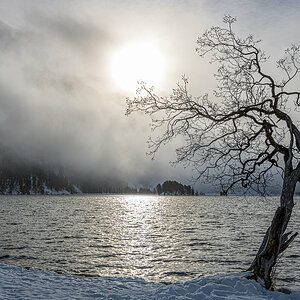Sils Maria 2020-3000.jpg