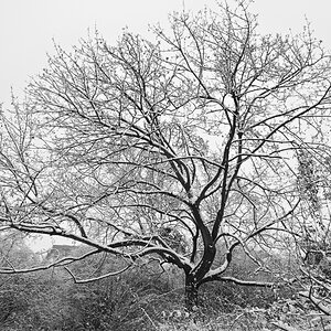 DSC_9746.JPG