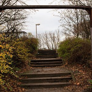 DSC_3430 Kopie.jpg