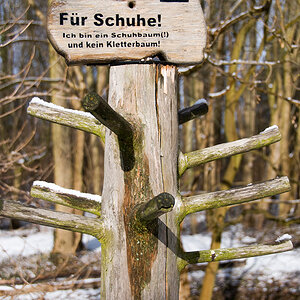 Mauerbirke (1 von 1).JPG