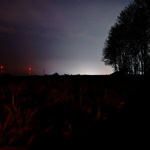 Z62_3140.jpg
