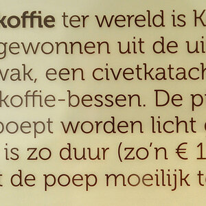 Kaffee Schleichkatze.jpg