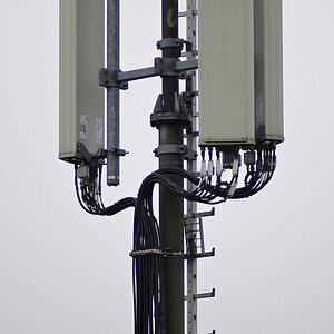 _Z503925_500F5.6SG100.jpg