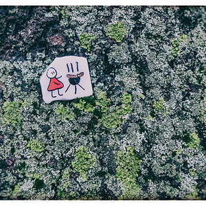 496 Fundstück im Schrevenpark