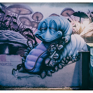 497 Graffiti Alien