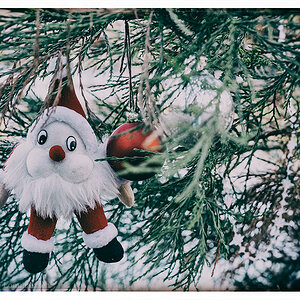 500 Der Weihnachtsmann im Kieler Schrevenpark