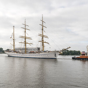 D50_2737.jpg