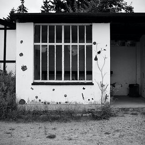 DSC_4877.jpeg