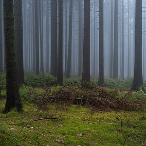 0M111287y.jpg