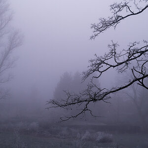 Nebel am Winteranfang