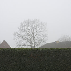 _Z503952PAxl.jpg