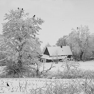 0M110826x.jpg