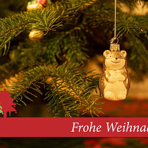 518 Frohe Weihnachten (Bärchen)