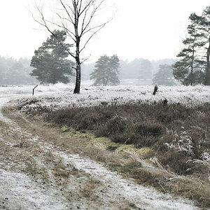 Kälteheide zu Weihnachten .jpg