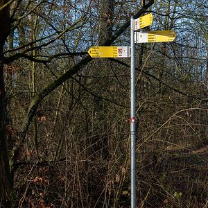 comp_DSC_0814.jpg