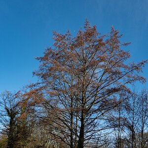 comp_DSC_0829.jpg