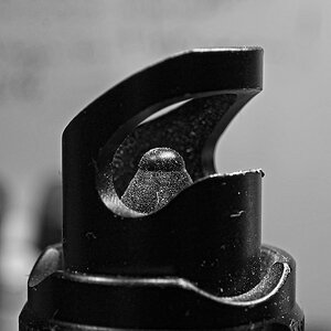 _Z504018Hxl.jpg