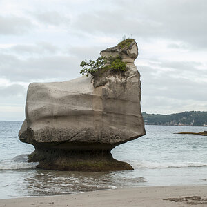 Cathedral Cove Beach.jpg