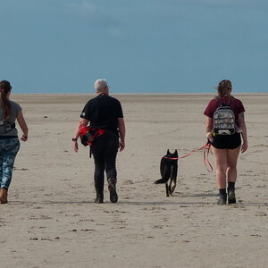 Texel 2021-015.jpg