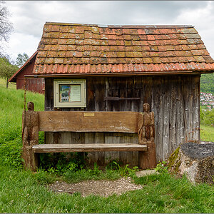 D75_3527.jpg