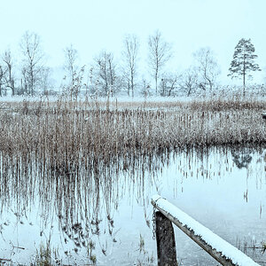 7-365.jpg
