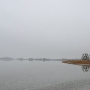 DSC_9557.JPG