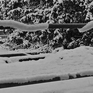 DSC_0171Pxl.jpg