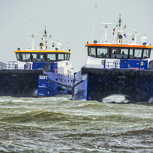 _DHT4654-_316#.JPG