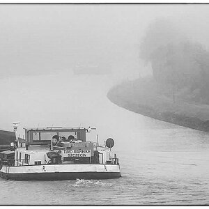 Nebelfahrt 2 BW (1 von 1).JPG