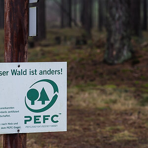 PEFC (1 von 1).JPG