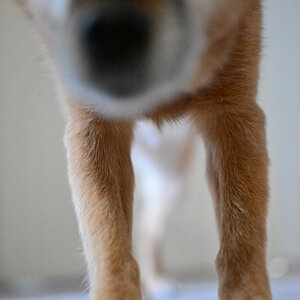 000_0378.jpg