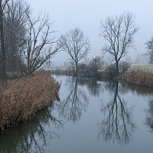 OF2_54907.jpg