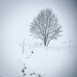 DSC_6392.jpeg
